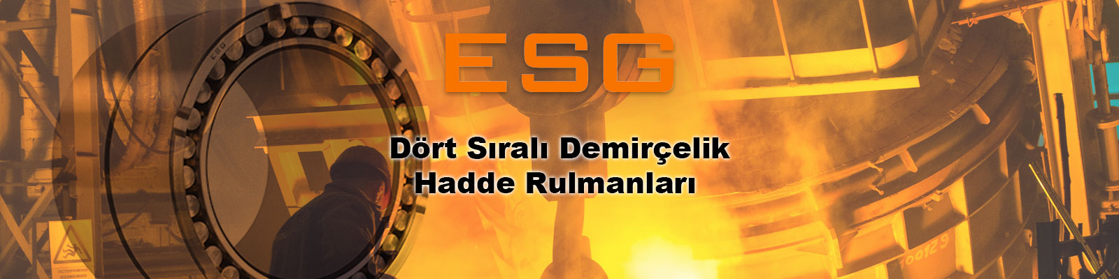 ESG Rulmanlar